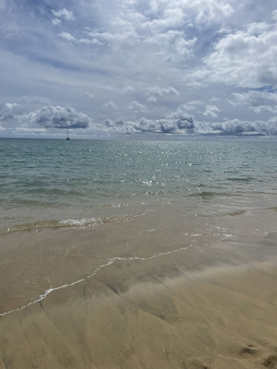original IMG 8155