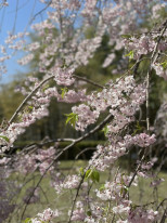 original IMG 0801