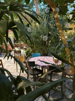 original IMG 6083