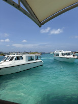 original IMG 5010