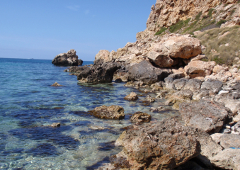 Bild Malta - Insel des ewigen Frühlings Reisebericht