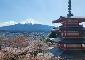 Bild Ramen, Tempel, Großstadtflair: Mein Japan-Abenteuer Reisebericht