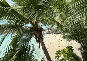 Bild Traumziel Seychellen Reisebericht