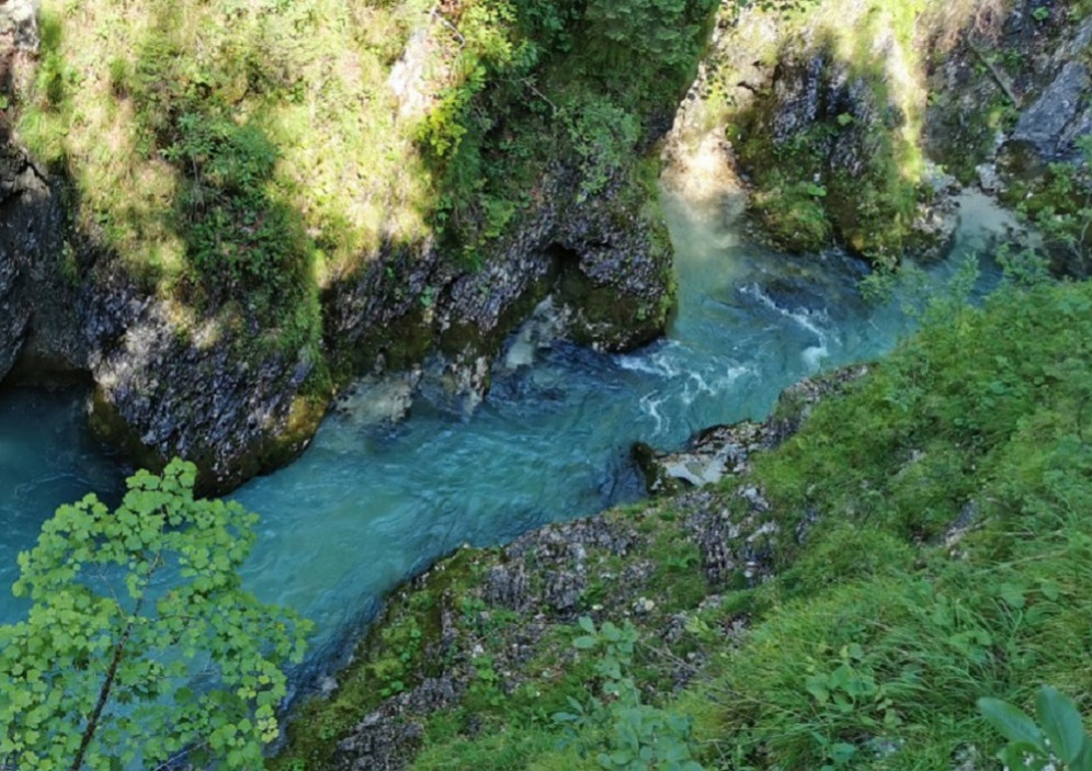 Einfach Natur