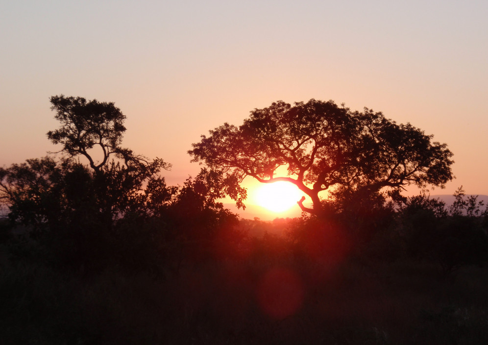 sonnenuntergang